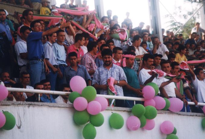 traftar2.JPG (51840 bytes)